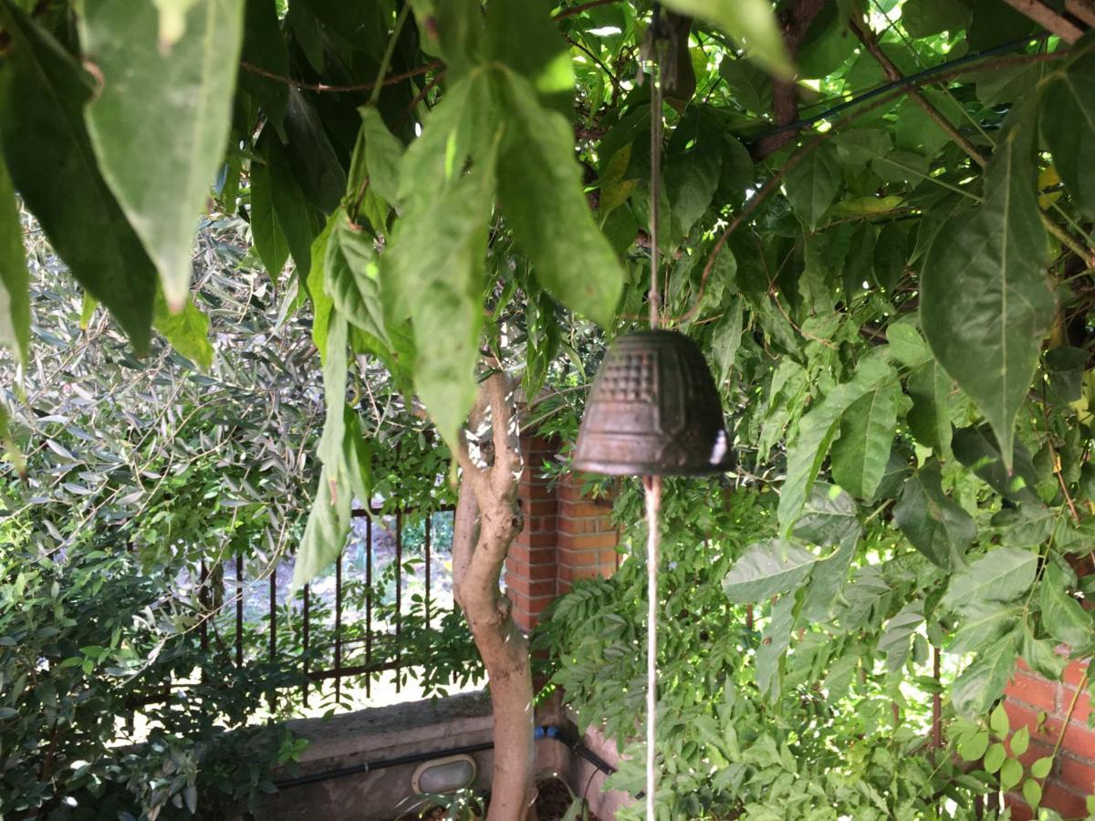Una Casa Di Campagna Dossobuono Exteriör bild
