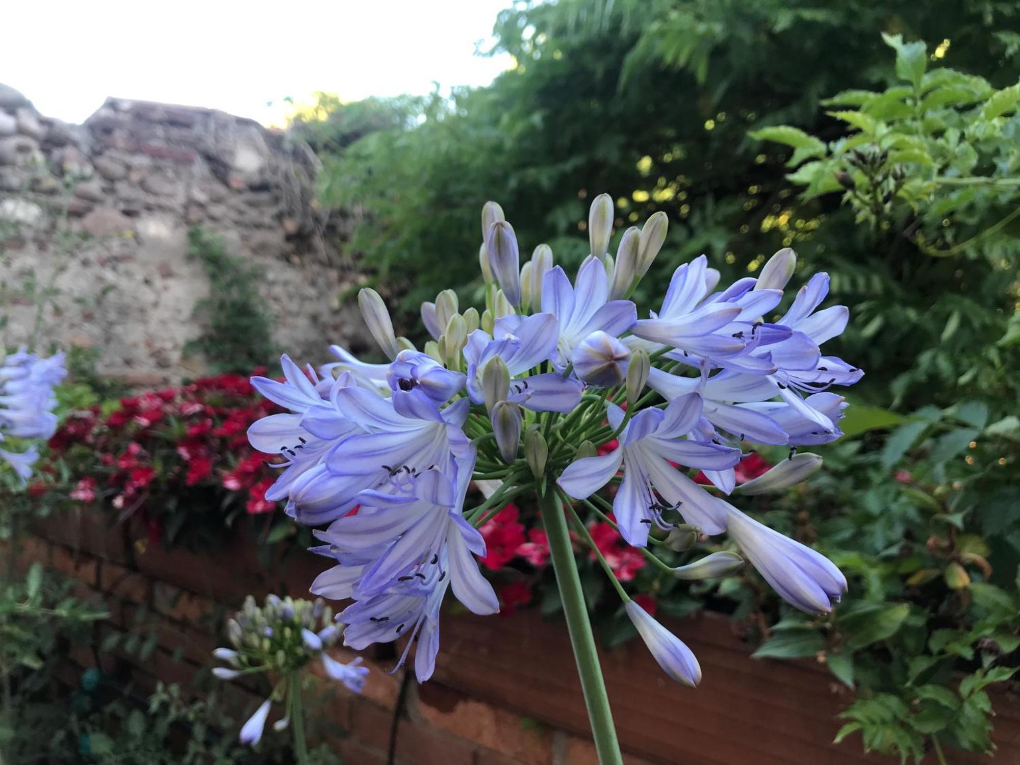Una Casa Di Campagna Dossobuono Exteriör bild