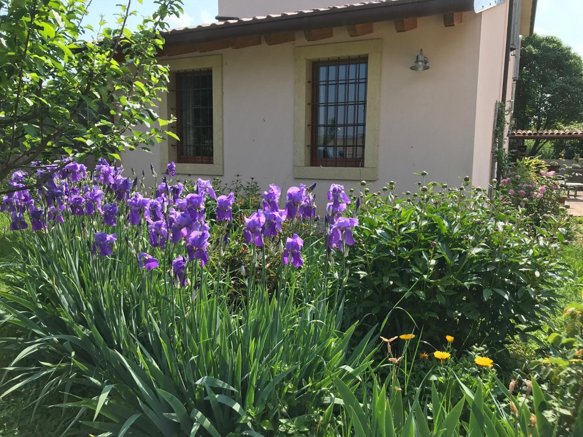 Una Casa Di Campagna Dossobuono Exteriör bild